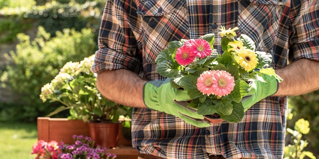 Jardinier Paysagiste : assurance multirisque professionnelle au meilleur prix