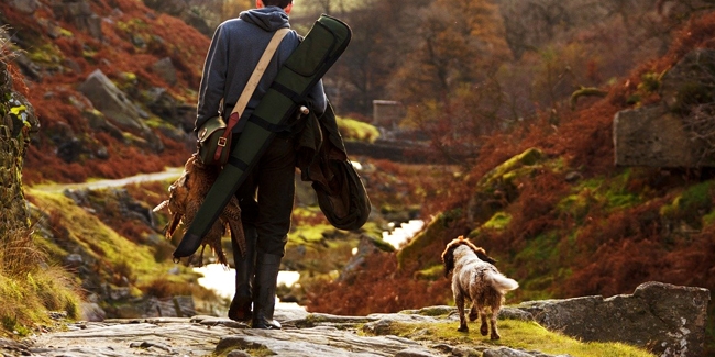 Pourquoi assurer son chien de chasse ?