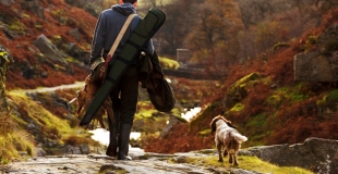 Pourquoi assurer son chien de chasse ?