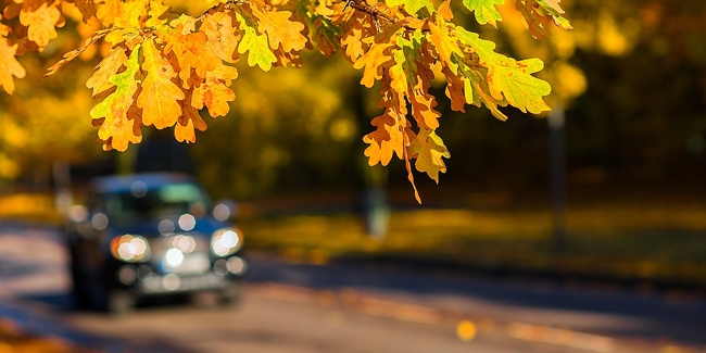 Assurance auto résiliée : comment gérer cette situation ?