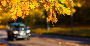 Assurance auto résiliée : comment gérer cette situation ?