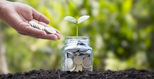 Plafond de versement d’une assurance vie : quel est-il ?