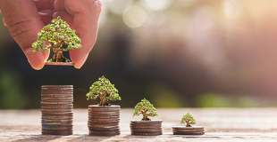 PER ou assurance-vie : Quelles différences ? Comment choisir ?