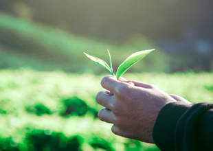 Assurance vie après 70 ans : tout comprendre sur le sujet !